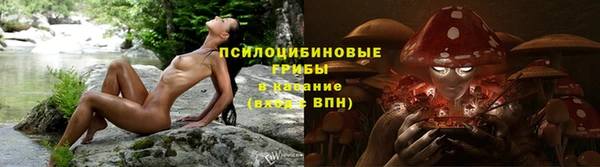 Альфа ПВП Магадан